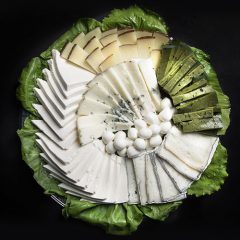 trays-2
